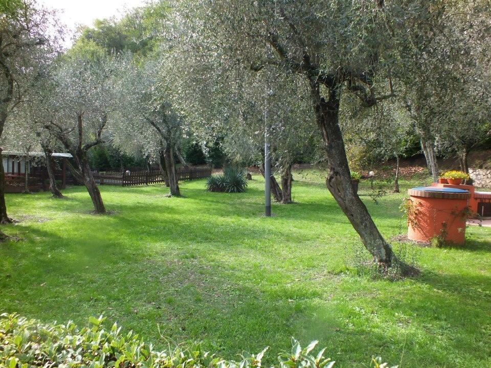 Bed and Breakfast Gli Ulivi Fosdinovo Exterior foto